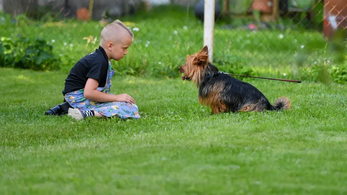 Dog with an owner at home