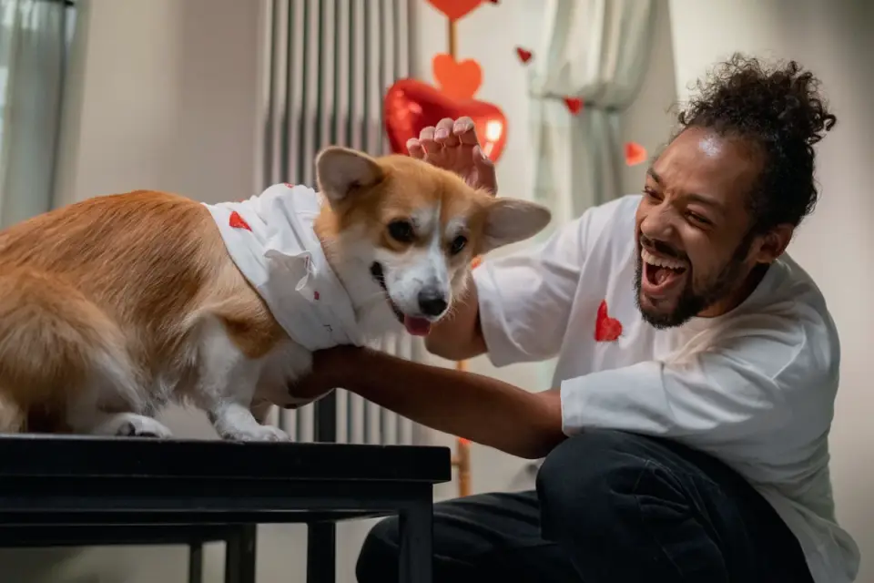 Dog with an owner at home