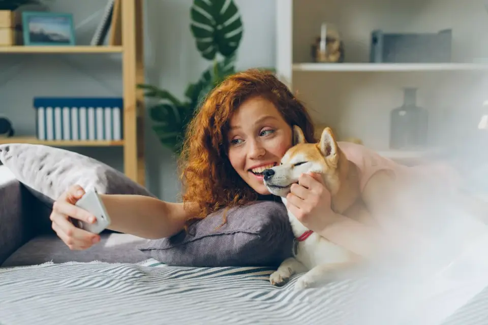 Dog with an owner at home