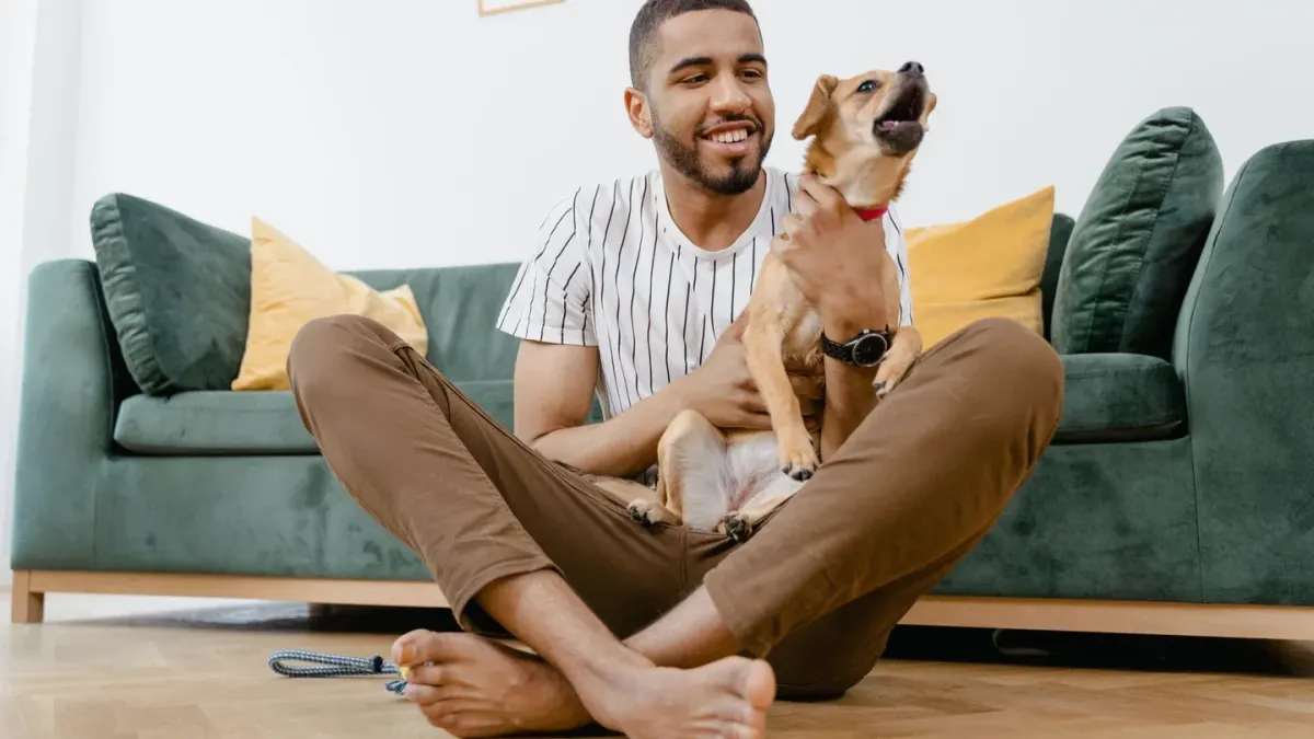 Dog with an owner at home