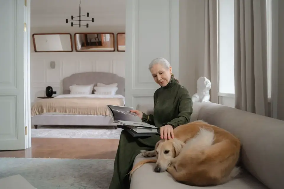 Dog with an owner at home