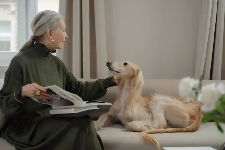Dog with an owner at home