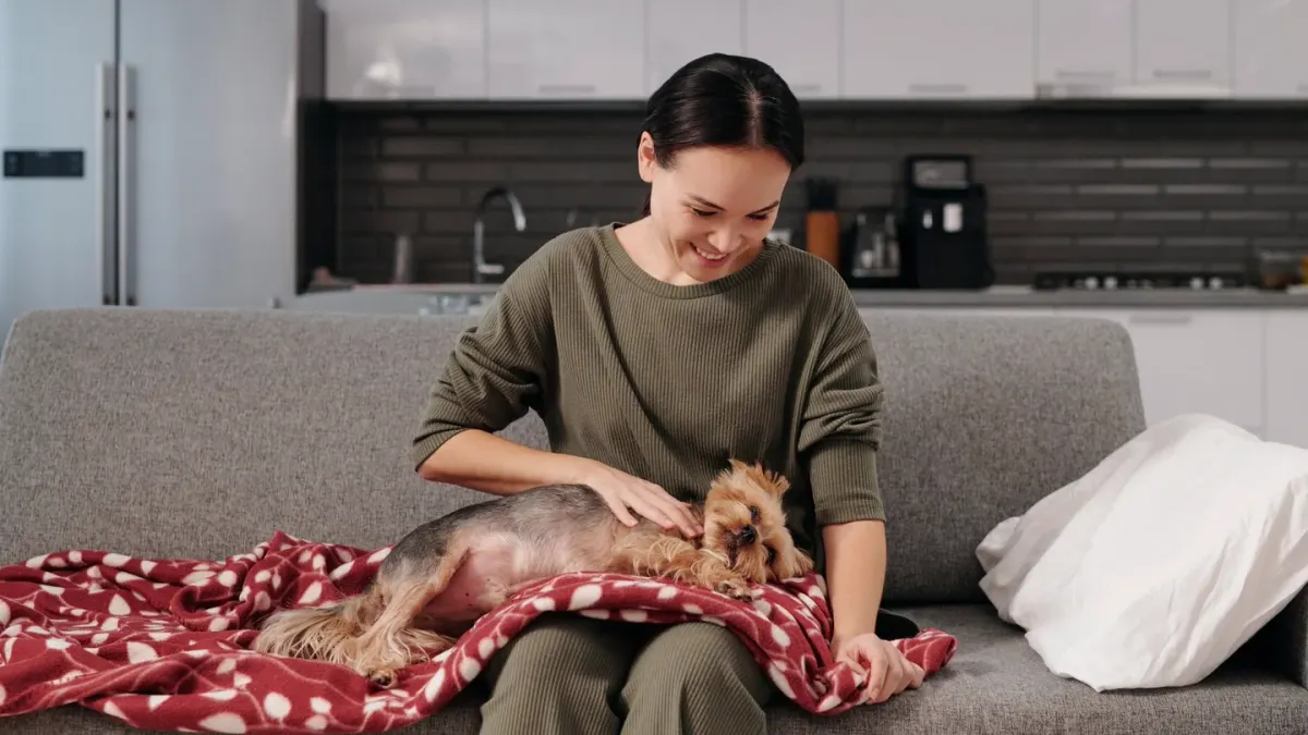 Dog with an owner at home