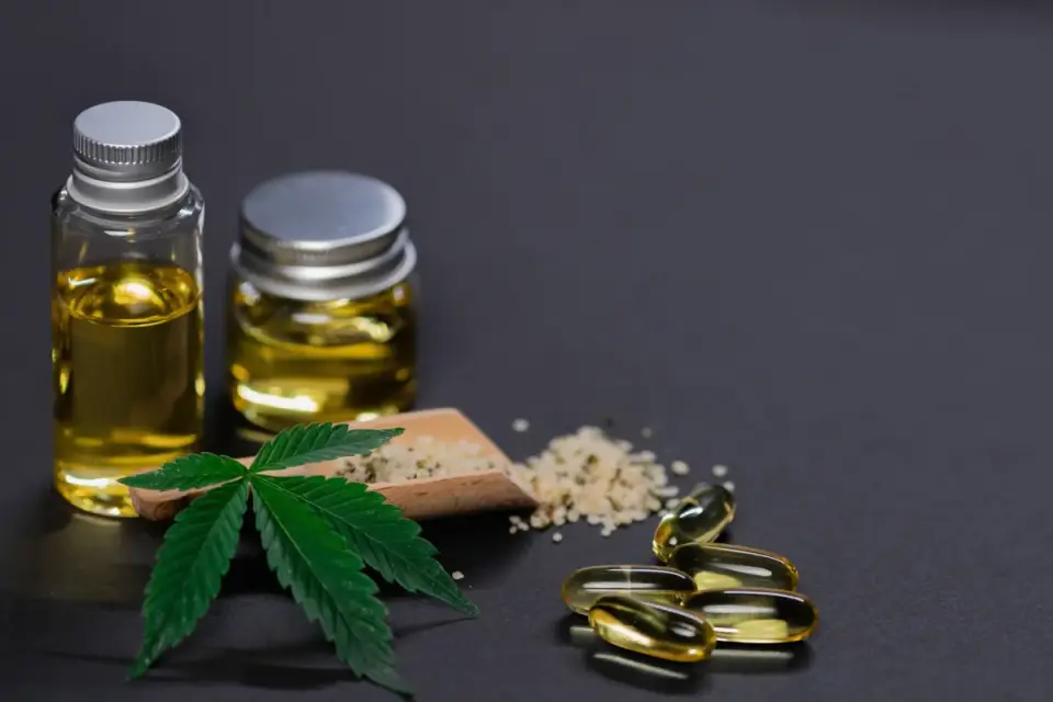 Fish oil supplement capsules next to a dog's food bowl