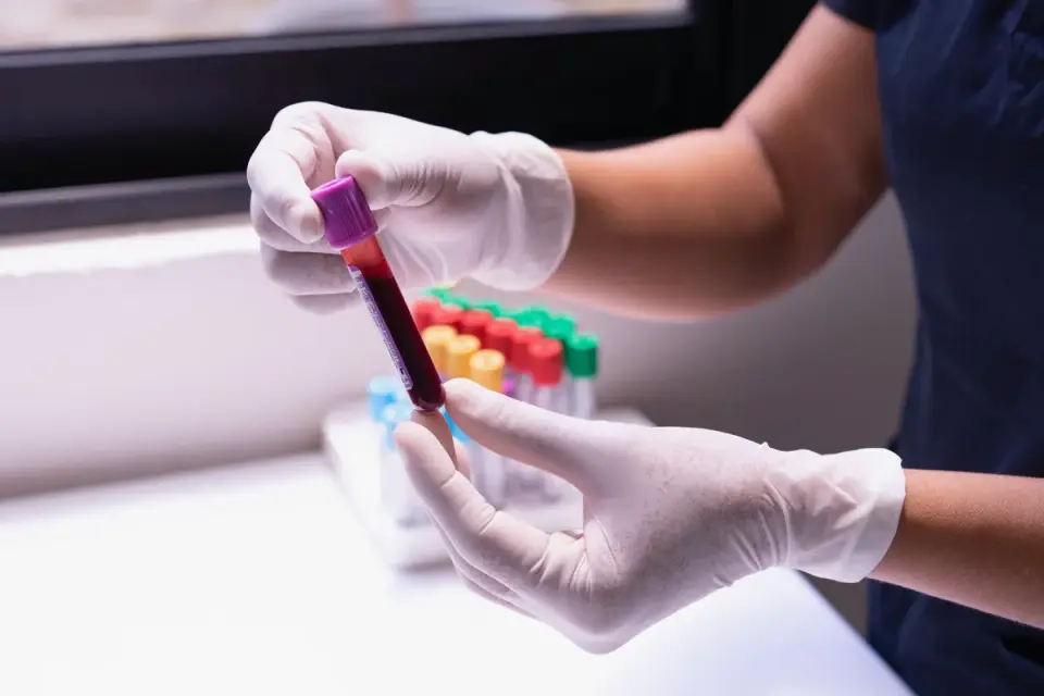 Gloved laboratory worker holding a blood sample tube for testing