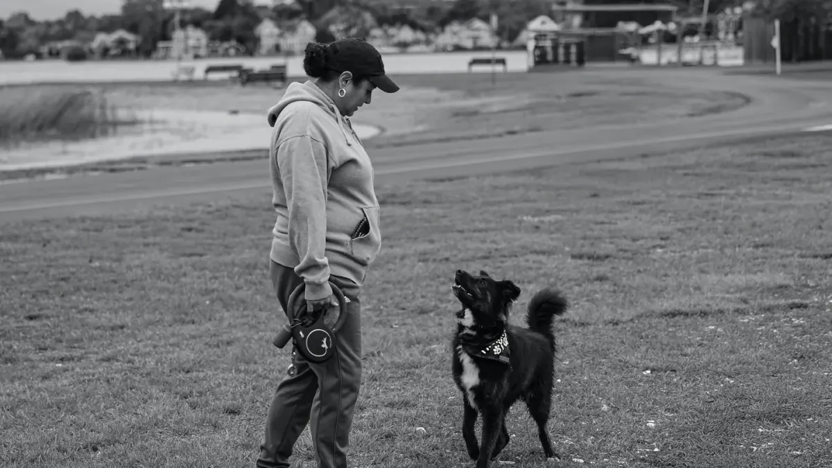 Older dog with an owner in a park