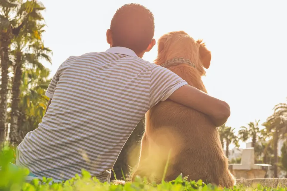 Older dog with an owner in a park
