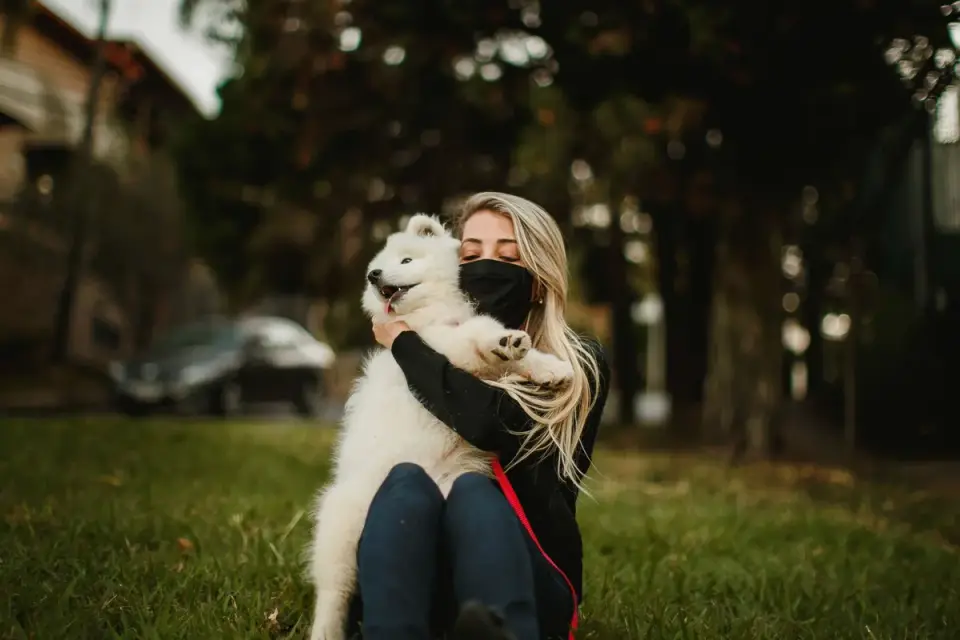Older dog with an owner in a park