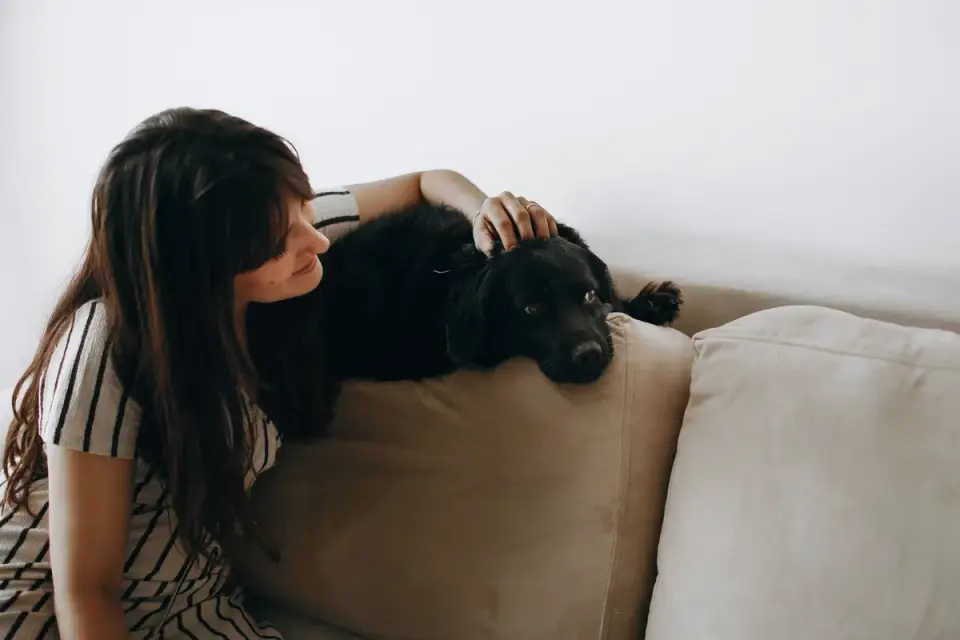 Owner offering a chewable supplement to a dog before an anxiety-triggering event