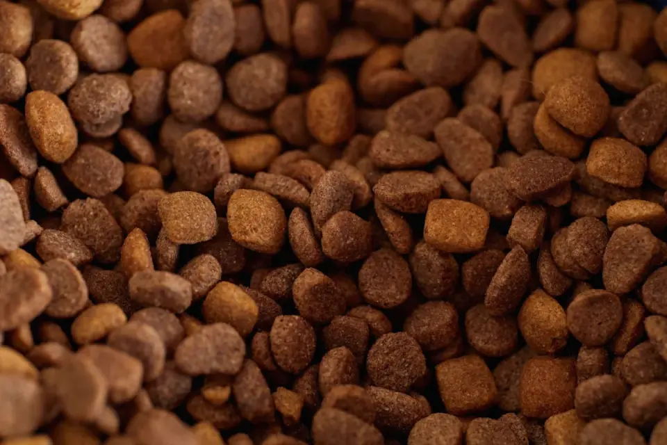 Puppy eating a bowl of kibble mixed with small cooked vegetable pieces