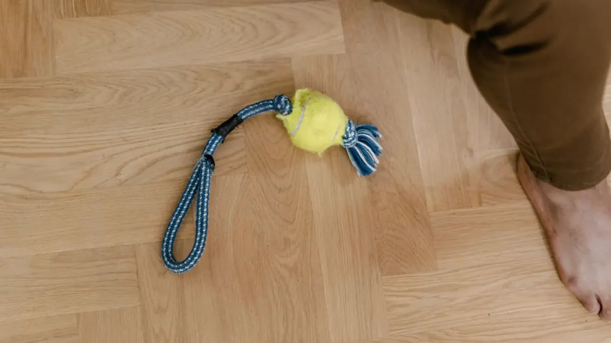 Senior dog standing unsteadily on its hind legs on a hardwood floor