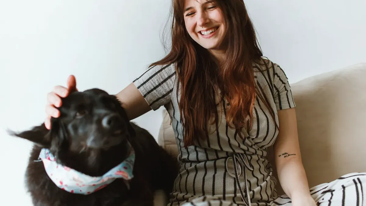 Senior dog walking with an owner