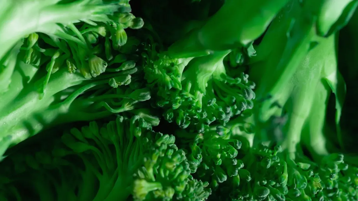 Small cut pieces of raw broccoli on a cutting board beside a curious dog's nose