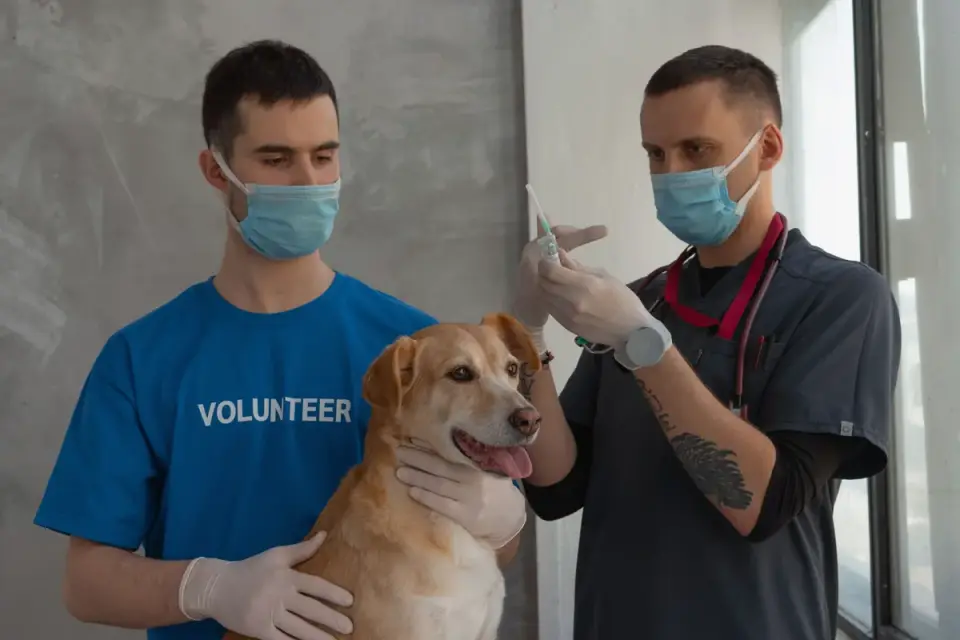 Veterinarian and dog owner reviewing a supplement label together in an exam room