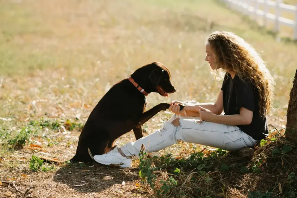 Veterinarian reviewing a supplement label with a dog owner